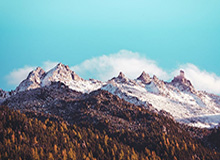 开云官网-宁波男篮社媒分享视频：团建日，movie with barbecue